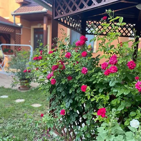 Apartament Dóra