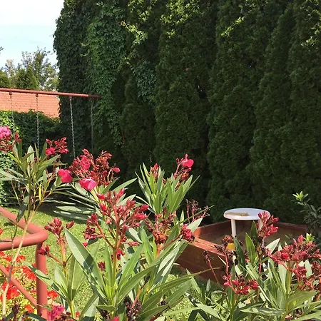 Dóra Hajdúszoboszló