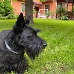 Dora Lejlighed Hajdúszoboszló