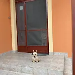 Dora *