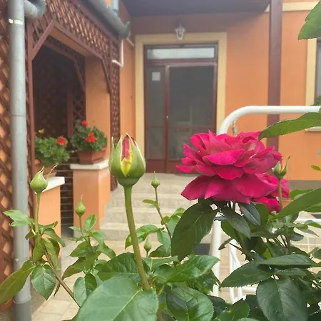Dora Apartment