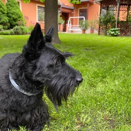 Dóra Apartamento Hajdúszoboszló