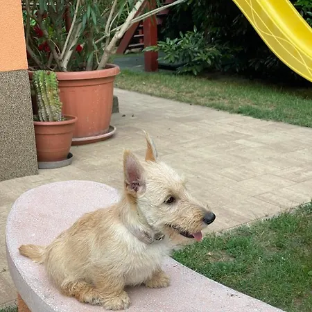 Dora * Hajdúszoboszló