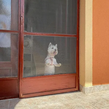 Dóra Apartamento