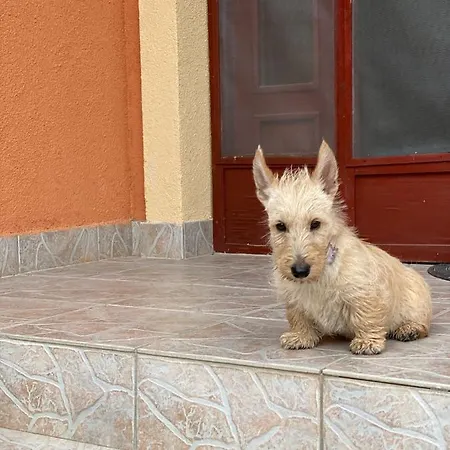 Dóra Apartamento
