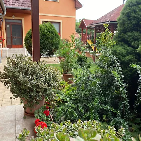Dóra Apartamento *