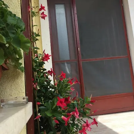 Apartment Dora *