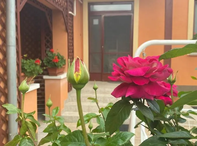 Dora Apartman